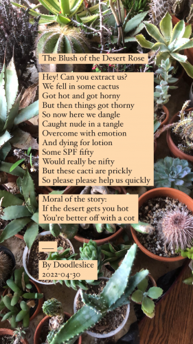 The Blush of the Desert Rose - an original poem by Doodleslice