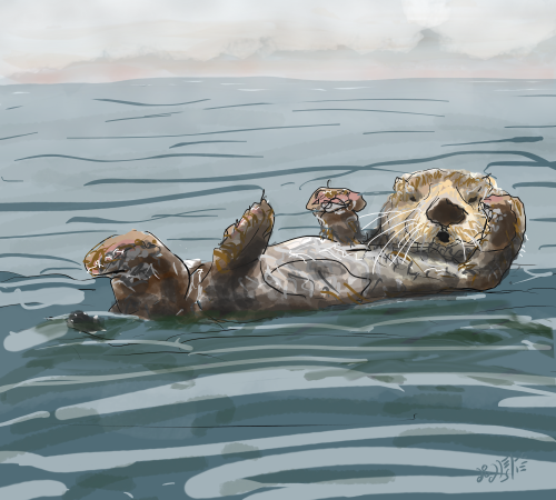 Otter Basking - By Doodleslice