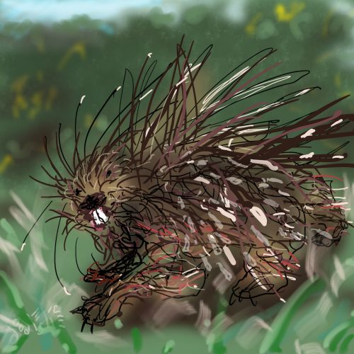 Porcupine - digital art by Doodleslice